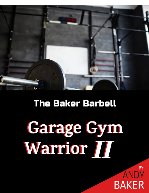 Garage Gym Warrior 2