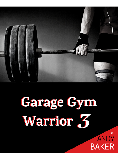 Garage Gym Warrior 3